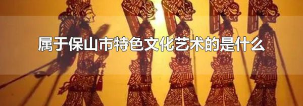 属于保山市特色文化艺术的是什么