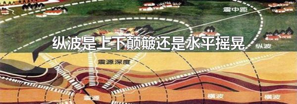 纵波是上下颠簸还是水平摇晃