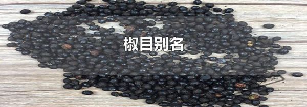 椒目别名