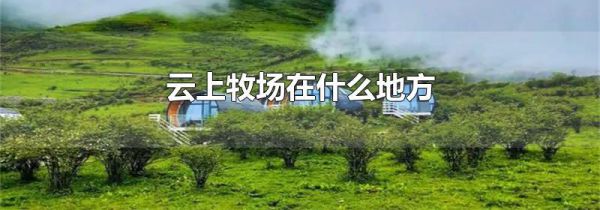 云上牧场在什么地方