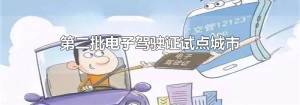 第二批电子驾驶证试点城市