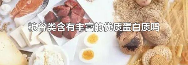 粮谷类含有丰富的优质蛋白质吗