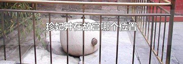 珍妃井在故宫哪个位置