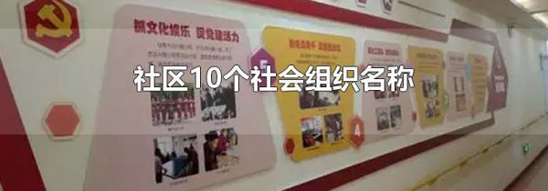 社区10个社会组织名称
