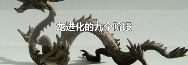 龙进化的九个阶段
