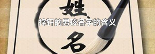 梓轩的男孩名字的含义