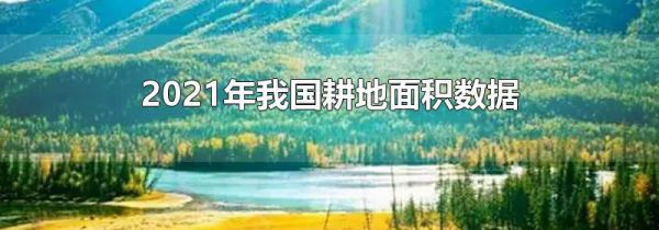 2021年我国耕地面积数据