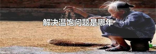 解决温饱问题是哪年