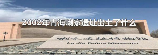 2002年青海喇家遗址出土了什么