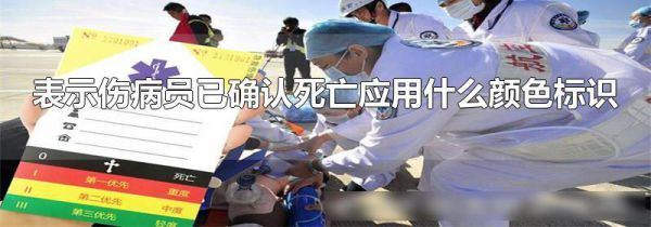 表示伤病员已确认死亡应用什么颜色标识