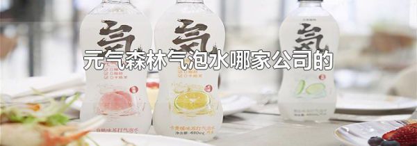 元气森林气泡水哪家公司的