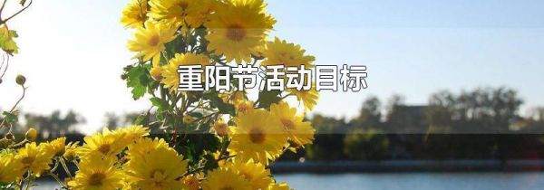 重阳节活动目标