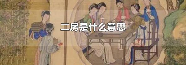 二房是什么意思