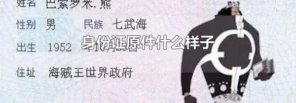 身份证原件什么样子