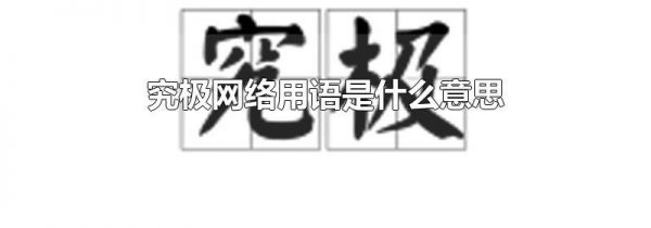 究极网络用语是什么意思