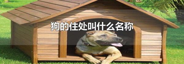 狗的住处叫什么名称