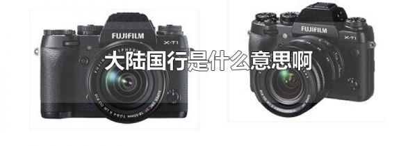 大陆国行是什么意思啊