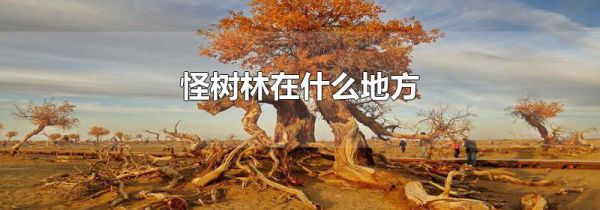 怪树林在什么地方