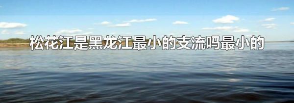 松花江是黑龙江最小的支流吗最小的