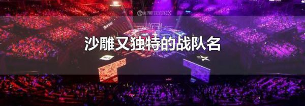沙雕又独特的战队名