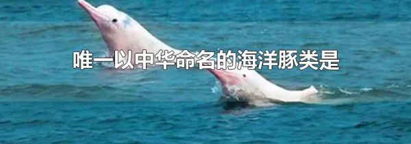唯一以中华命名的海洋豚类是