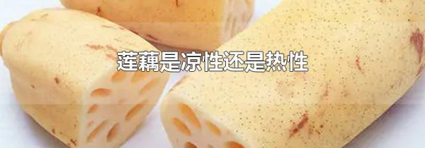 莲藕是凉性还是热性