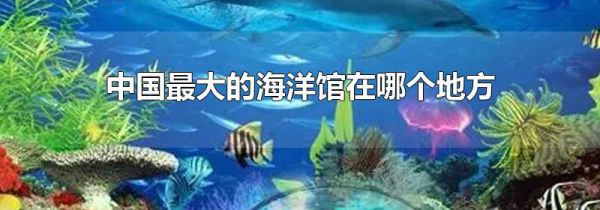 中国最大的海洋馆在哪个地方