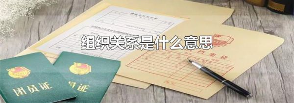 组织关系是什么意思