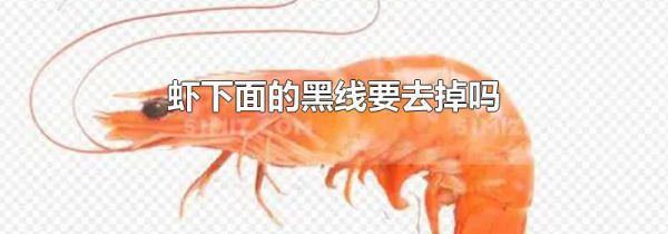 虾下面的黑线要去掉吗