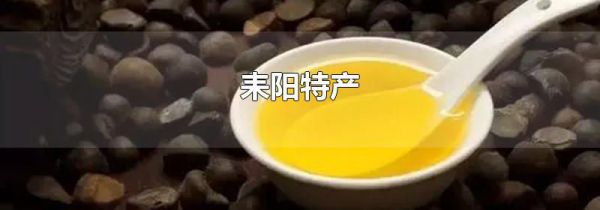 耒阳特产