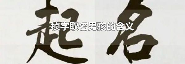 桢字取名男孩的含义