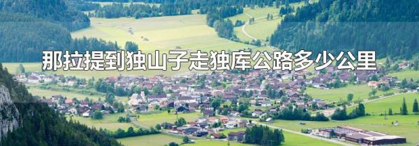 那拉提到独山子走独库公路多少公里