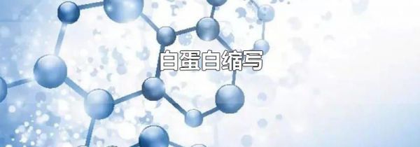 白蛋白缩写