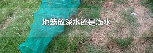 地笼放深水还是浅水