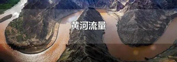 黄河流量