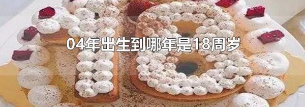 04年出生到哪年是18周岁
