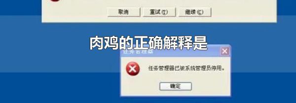 肉鸡的正确解释是