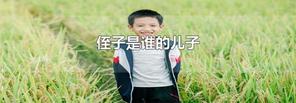 侄子是谁的儿子
