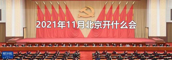 2021年11月北京开什么会