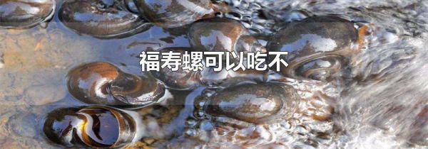 福寿螺可以吃不