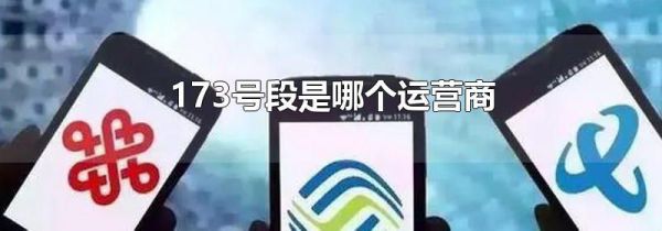 173号段是哪个运营商