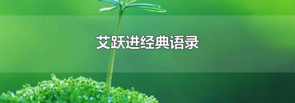 艾跃进经典语录