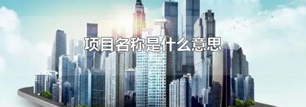 项目名称是什么意思