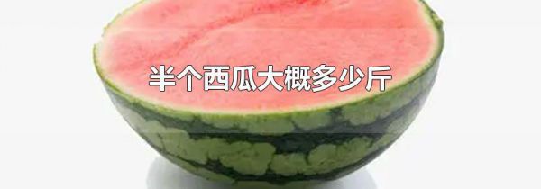 半个西瓜大概多少斤