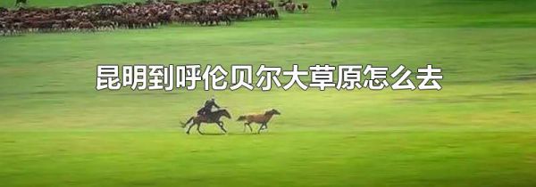 昆明到呼伦贝尔大草原怎么去