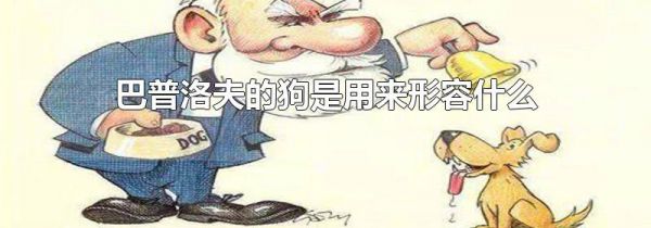 巴普洛夫的狗是用来形容什么