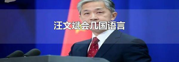 汪文斌会几国语言