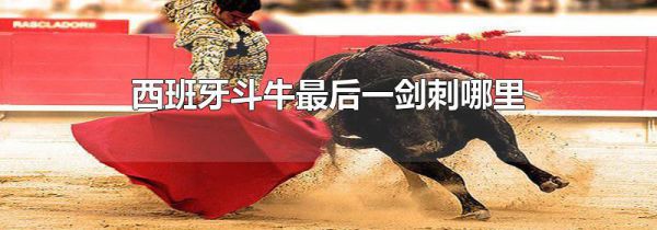 西班牙斗牛最后一剑刺哪里