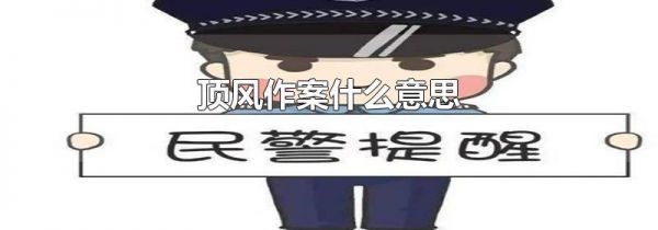 顶风作案什么意思