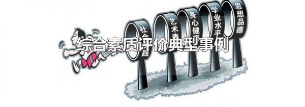 综合素质评价典型事例